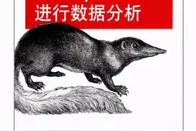 利用python进行数据分析，PDF文档给你答案图片