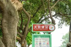 天回镇，正在被遗忘的成都「豆花小镇」图片