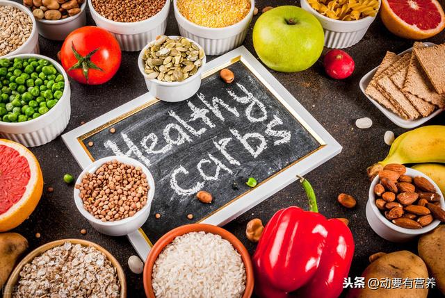 科普文运动与各类营养