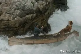 《野性的呼唤》，大犬巴克与约翰大爷，共谱与大自然的和谐美景图片