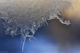 下雪！霜冻！杭州人冻哭在春天里！还有一大波雨雨雨图片