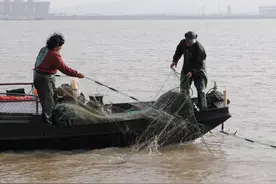 长江胭脂鱼的“怒火”：外形靓丽、肉质鲜美，终是“红颜薄命”图片