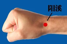阳溪穴：就在拇指翘起来，紧绷的两条筋之间凹下去的地方图片