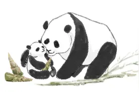 熊猫的古名究竟是什么？又为何出现在薄太后的墓葬中？图片
