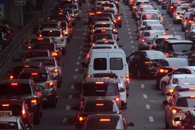 公路上突现蛇群，众蛇首尾相接长达1000米，导致交通停顿40分钟图片