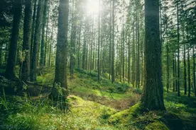 2020年高考全国一卷理科数学试卷以及答案解析图片