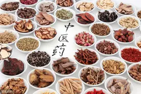中药的采集、炮制、古今用量！图片