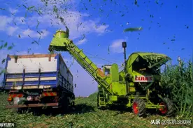 排行榜TOP10 | 自走式青饲料收获机最新销量排行图片