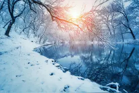 忽如一夜春风来，千树万树梨花开图片