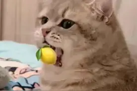 全国“最豪华”的42个高校宿舍！你住过吗？图片