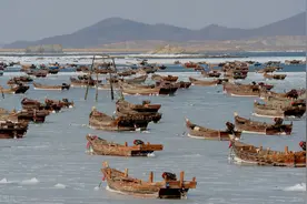 大连新冠肺炎累计确诊44例，冷冻海鲜你还敢吃吗？图片