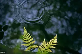 人生三知：知足，知止，知常图片