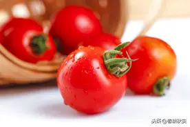 番茄“果烂发臭”是为何？找对病害原因，进行综合防治更有效图片