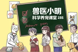 夏天带狗遛弯千万不要图省事，下面这4点做法会伤害到汪图片