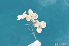 我的爱情观：一生一世一双人图片