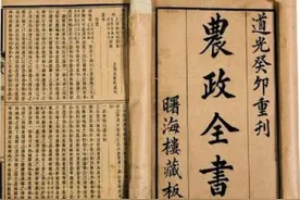 所到处“赤地千里，饿殍遍地”，明清时人如何制服“飞天蚂蚱”？图片