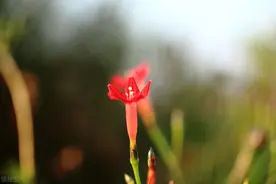 60岁女人坦言：退休金5500，想和我搭伙需要满足这三个条件图片