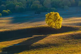 乌兰布统的秋天：一个你没有见过的内蒙古，清朝皇家的地方图片