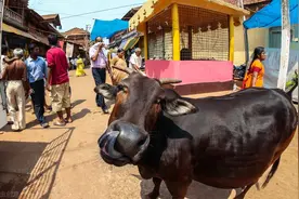 印度，为什么非跟中国过不去？扭曲的大国梦：心比天高命比纸薄图片