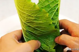 想不到白菜叶子还能卷饭吃，酱香浓郁口感丰富，难怪东北人都爱吃图片