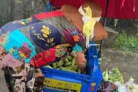 宁波女子暴雨中花200元买下一车玉米，小区邻居10分钟全订光图片
