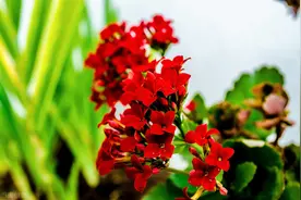 懂我悲欢，知我冷暖，纵使岁月流逝，不忘深情图片