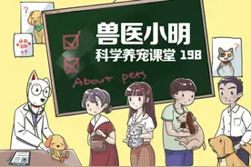 猫咪离家出走前有什么征兆？当它们习惯在窗户旁蹲点时就要注意了图片