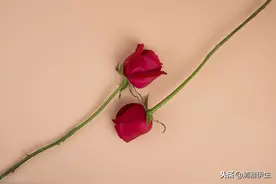 用最科学的方法戒除色情瘾（改变你人生的六个步骤）图片
