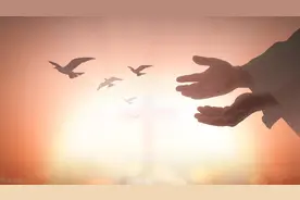 怎样才能让世界更美好？我终于找到答案了图片