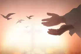 怎样才能让世界更美好？我终于找到答案了图片