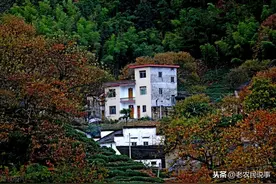 农村建房俗语“东高不算高，西高压断腰”，啥意思？3点科学依据图片