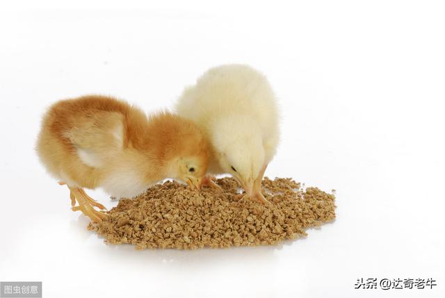 漫谈基础饵：高蛋白颗粒、开口料、能量料的钓鱼选择和避坑技巧