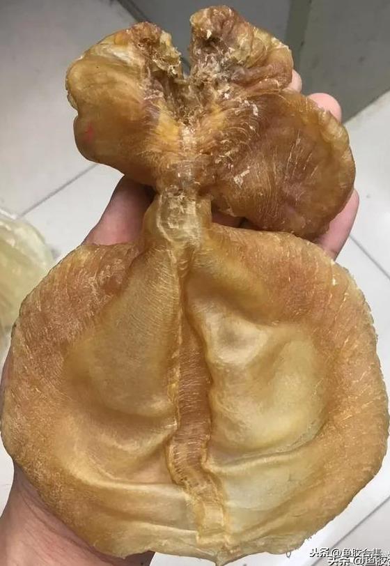 太平洋 产妇 花胶 2025年产后 花胶