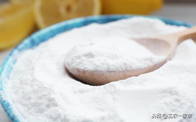 四种常见食物喂鸡，鸡养的又肥又靓，家家都有