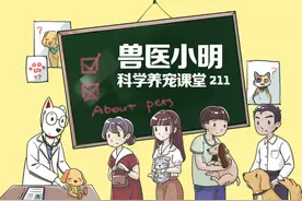 开车上路时，旁边忽然跑出动物，怎样才是正确的反应呢？图片