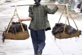 簸箕、撮箕、畚箕、筲箕、笠箕，傻傻分不清图片