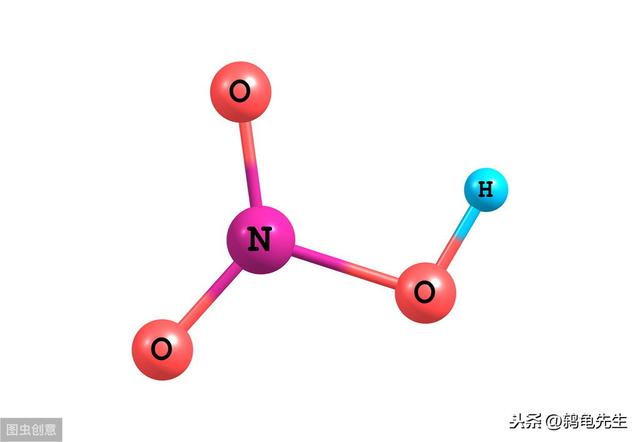 辟谣：水草不能代替硝化细菌处理鱼缸氨氮？其实水草除氨效果更好