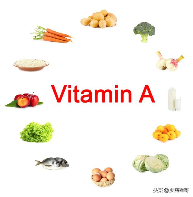 鸡群生理功能出现问题怎么办？维生素缺乏症别忽视，鸡农带来良方