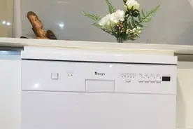 意大利原装进口洗碗机究竟多牛？3千字开箱测评帮你分析图片