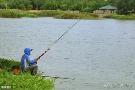 大鱼断竿把，小鱼折竿稍，到底是你的钓技不行还是鱼竿质量差？图片