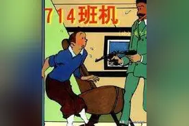 《丁丁历险记》-714班机图片