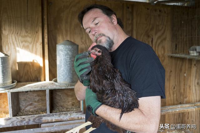 鑰佸吔鍖伙細瀹剁8绉嶅父瑙侀ゲ鏂欐坊鍔犲墏鐨勫姛鏁堝強浣跨敤锛屽啘鏉戝吇楦′汉鐪嬬湅鍚? onerror=