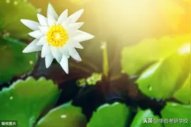 2021考研英语热门台词双语资料:沉默的羔羊图片