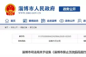 公告：淄博将出台条例！这些场所全部禁止图片