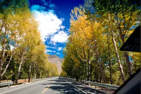 上海的这条最美沿海公路，有沙滩有文艺渔村，周末自驾好去处图片