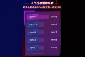 尊重大众投票选择，哈弗新车正式定名为哈弗大狗图片