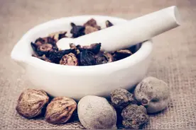 小儿脱肛用诃子粉图片