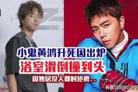 再见黄鸿升，再见了那些年追过的台偶台综们图片