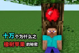 mc版十万个为什么：《我的世界》为什么苹果会长在“橡树”上？图片