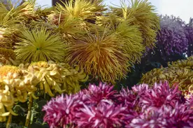 遇见你，何其幸运！你不在身边，却是心底最美的惦念图片